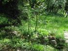 Terenska_priroda020