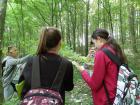 Terenska_priroda026
