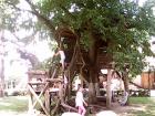 IMG_20150609_123754