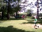 IMG_20150609_123800