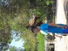 SAM_7516