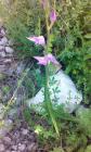 IMG_20150606_093602