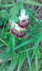 IMG_20150614_085640
