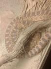 IMG-20160413-WA0022