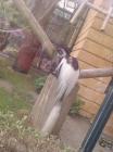 IMG-20160413-WA0027