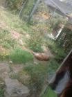 IMG-20160413-WA0036