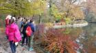 20161105_093225 (1)