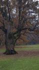 20161105_112800 (1)