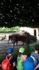 IMG_20170601_103845