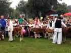 IMG-6904