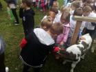 IMG-6907