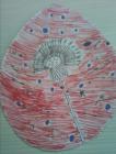 IMG-20200411-WA0020