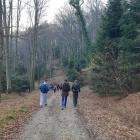 IMG-20240206-WA0011
