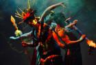 Image (5)