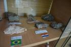 Stvrdnuta Magma (Intruzivne Stijene) Iz Brazila I Hrvatske
