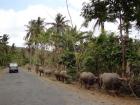 Indonezija, Otok Lombok