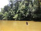 Malezija, Nacionalni Park Taman Negara