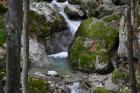 Stara Planina (Balkan); Стара Планина