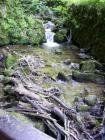 DSC09406
