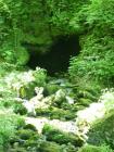 DSC09417