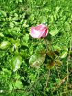 DSC02347