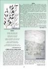 RogacWeb_Page_19