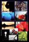 RogacWeb_Page_24