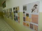 DSCN1489