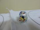 DSCN3620