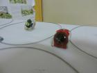 DSCN3622