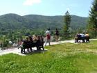 DSC01016 (Kopiraj)