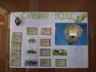 uvajmo Pele- Plakat O Vanosti Pela I Njihovoj Ugroenosti