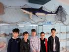 Prirodoslovni Muzej (14)