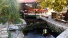 Antonicin_mlin (16)