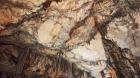 IMG-20211012-WA0005
