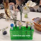 IMG_20230426_153619