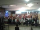 Bozic011