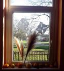 IMG_20141219_095928
