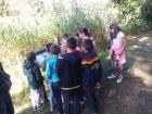 IMG-D2e0876bf525d972d74f1adef846c997-V