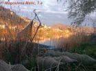 Oujak 2023.- Magdalena Mati, 7.A- Vrve