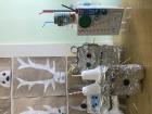 IMG-6380