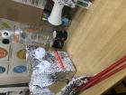 IMG-6381