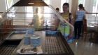 20150918_101431