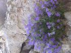 IMG-0ceab193340192ef0894b83bebdebdf6-V