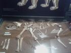 IMG-73234de222df9a73486e41eebc5a1609-V