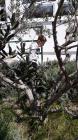 IMG-20210423-WA0005