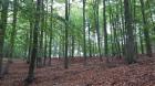 IMG-20211001-WA0108