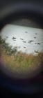 IMG-20211002-WA0107