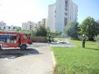 Slike Nove 012