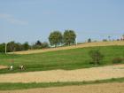 DSCN1326